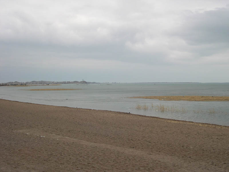 DSCN6235
