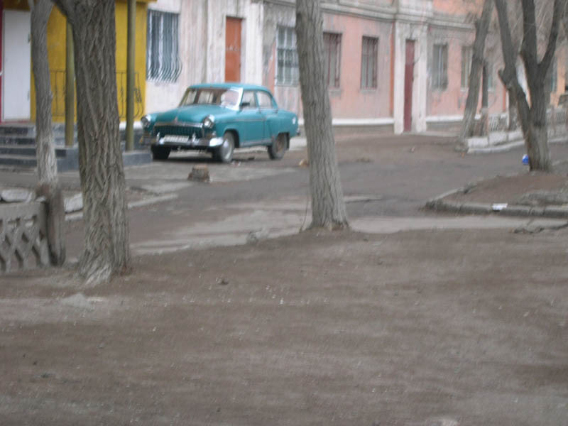 DSCN6246